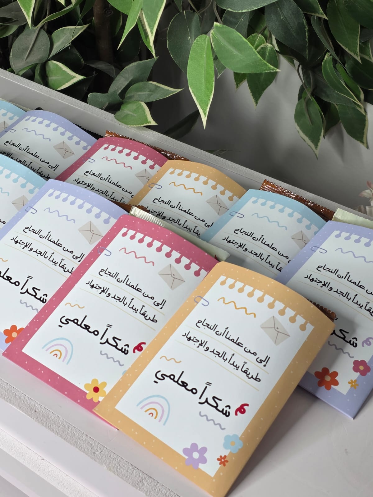 توزيعات اظرف القهوة ☕️